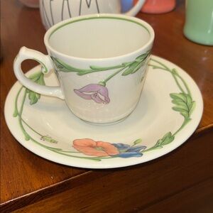Villeroy & Boch Amapola cup and saucer good used shape